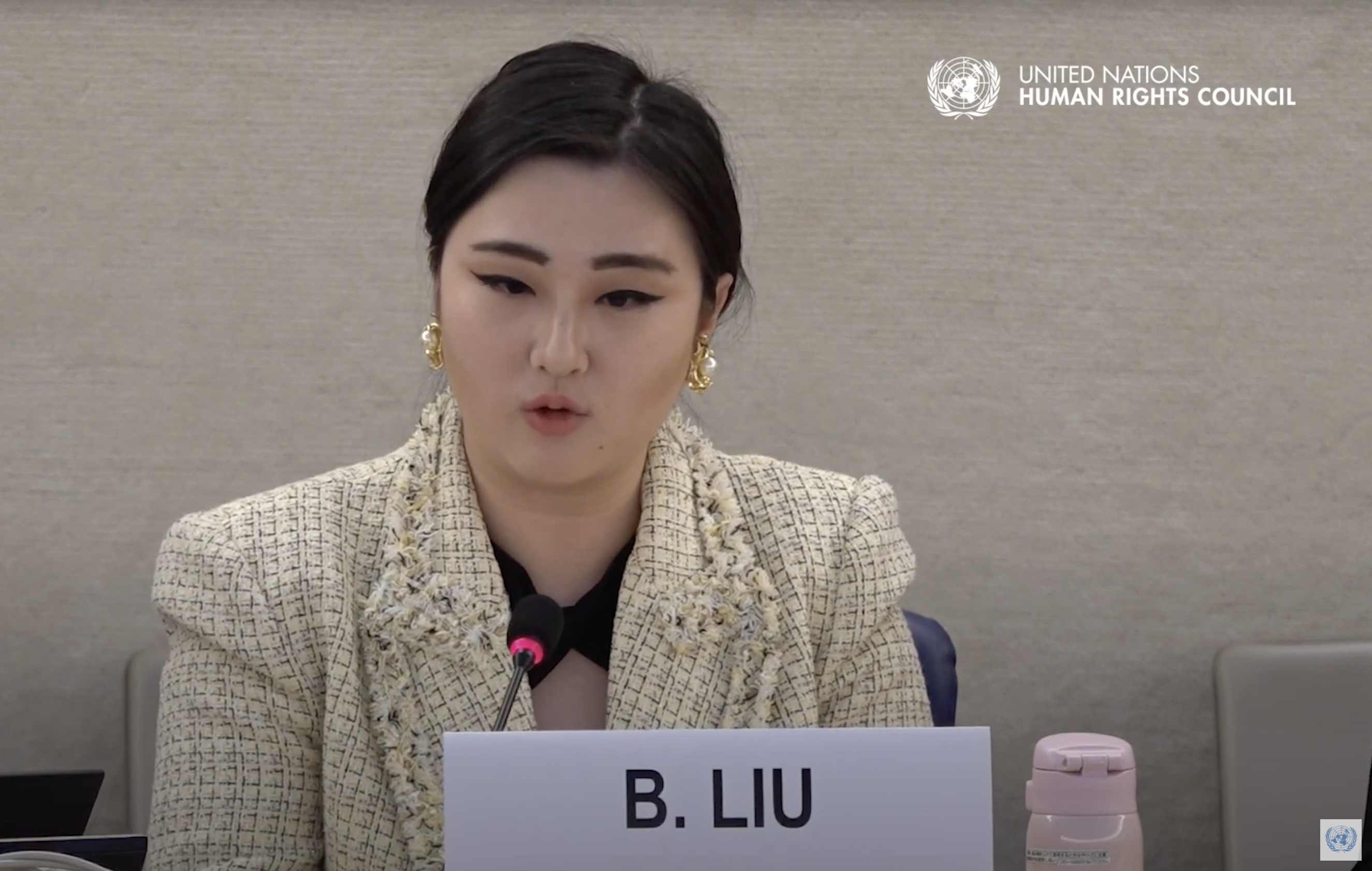 Speaker addressing a UN Human Rights Council session in Geneva.